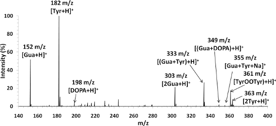 Mass spectrum of guanine-tyrosine (50µM) mixture in 50/49/1 vol% MeOH/H2O/HAc. Flow rate 50µL/hr. Guanine and tyrosine are nucleobase and amino acid respectively and act as DNA, protein analogues.