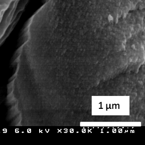 AFM image of a polyacrylonitrile (PAN) carbon fiber surface 