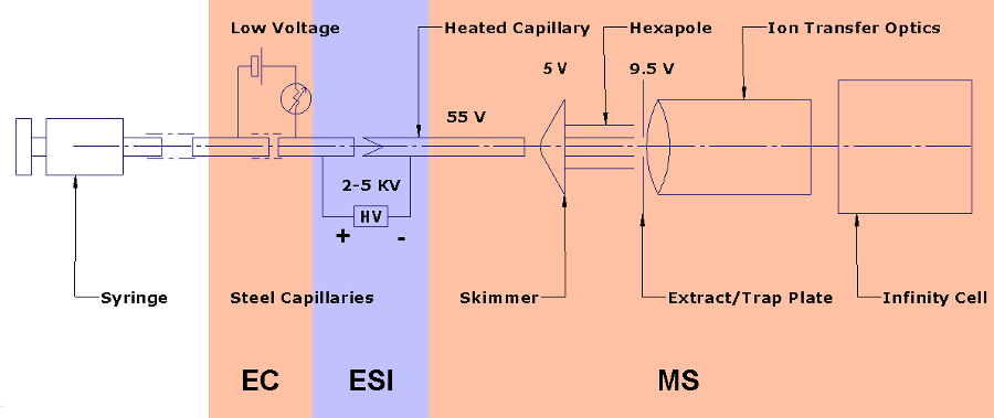 Schematic of the EC ESI MS system